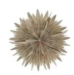 Estrella De Adviento Luna Beige Con Puntos